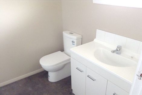 Photo of property in 1 Lampard Street, Methven, 7730