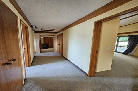 Photo of property in 38 Tutauanui Crescent, Maungatapu, Tauranga, 3112