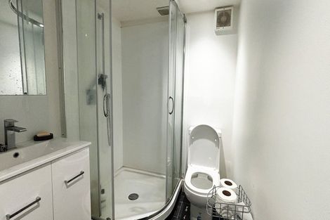 Photo of property in 164a Hanson Street, Newtown, Wellington, 6021