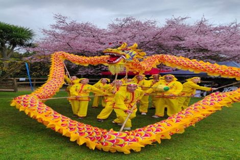 Photo of property in 125 Matangi Road, Matangi, Hamilton, 3284