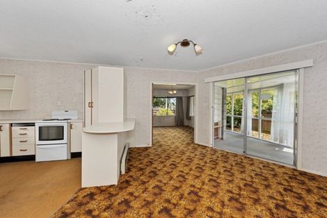 Photo of property in 294 Peachgrove Road, Fairfield, Hamilton, 3214