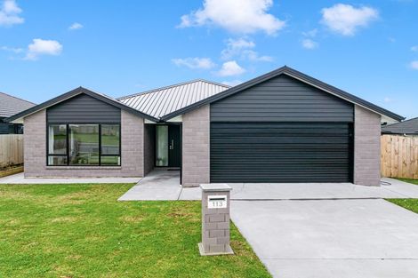 Photo of property in 113 Wairau Drive, Tikipunga, Whangarei, 0112