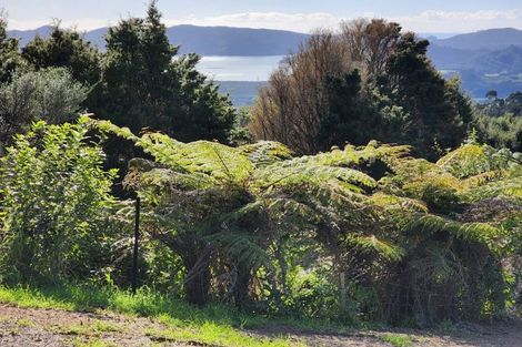 Photo of property in 99b Mangamanihi Road, Kaeo, 0479