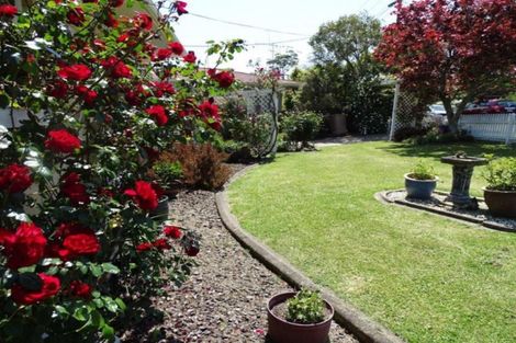 Photo of property in 4 Lewis Street, Paeroa, 3600