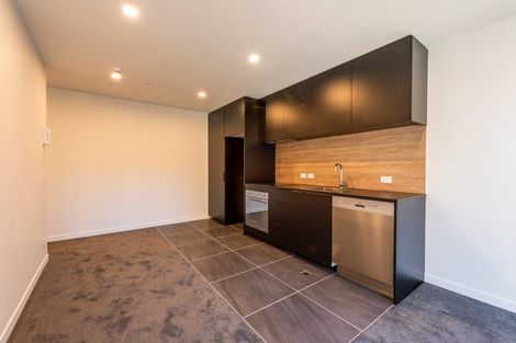 Photo of property in Pinnacle Apartments, E202/160 Victoria Street, Te Aro, Wellington, 6011