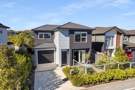 Photo of property in 166a John Burke Drive, Aotea, Porirua, 5024
