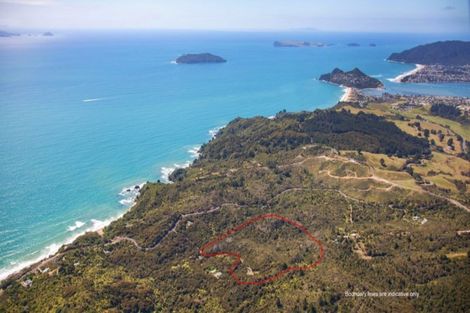 Photo of property in 125b Sailors Grave Road, Pumpkin Hill, Whitianga, 3591