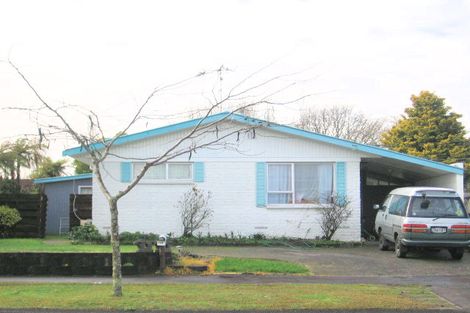 Photo of property in 135 Fitzroy Avenue, Fitzroy, Hamilton, 3206