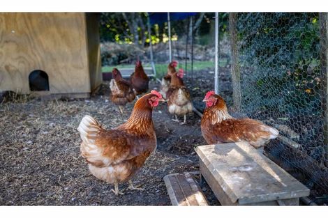 Photo of property in 5 Kotare Heights, Kerikeri, 0230