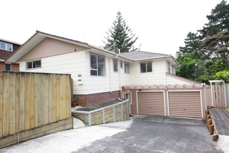 Photo of property in 17 Cunliffe Place, Glenfield, Auckland, 0629