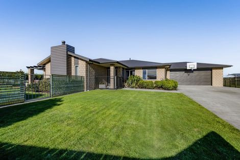 Photo of property in 20 Larlin Drive, Hawera, 4675