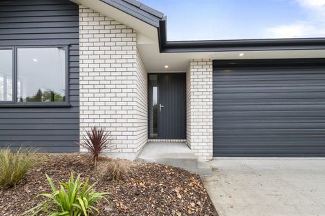 Photo of property in 13 Purcell Street, Foxton, 4814