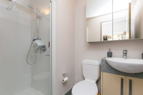 Photo of property in Dual Apartments, 511/142 Vivian Street, Te Aro, Wellington, 6011