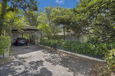 Photo of property in 14 Ashby Avenue, Saint Heliers, Auckland, 1071