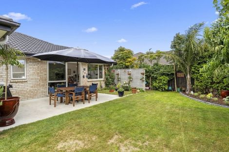 Photo of property in 24 Trauzer Place, Flagstaff, Hamilton, 3210