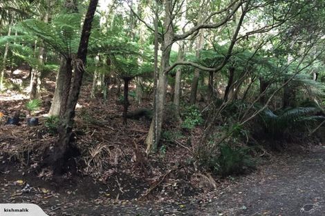Photo of property in 16 Waikarekare Lane, Karekare, Auckland, 0772