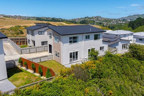 Photo of property in 12 Trelawny Terrace, Grenada Village, Wellington, 6037