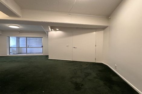 Photo of property in 6c Halleys Lane, Te Aro, Wellington, 6011