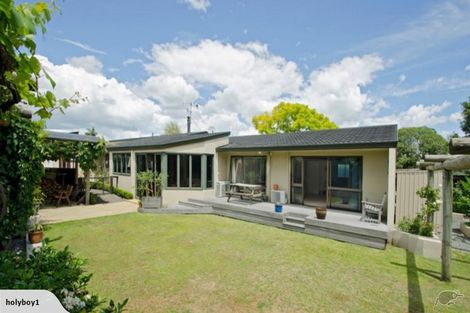 Photo of property in 19 Waitui Grove, Mount Maunganui, 3116