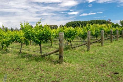 Photo of property in 162 Neal Road, Spring Creek, Blenheim, 7273