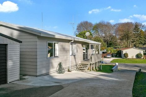 Photo of property in 312 Sinclair Terrace, Te Awamutu, 3800
