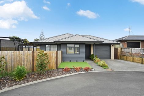 Photo of property in 21 Taotahi Avenue, Dinsdale, Hamilton, 3204