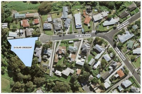 Photo of property in 33 Olive Crescent, Papatoetoe, Auckland, 2025