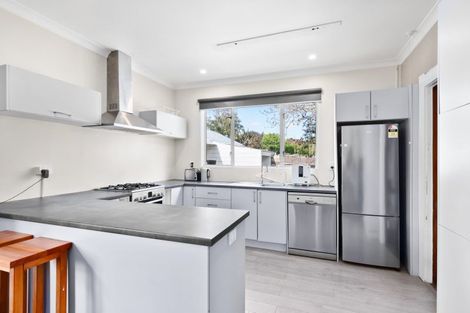 Photo of property in 29 Stuckey Street, Levin, 5510