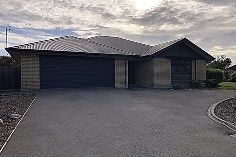 Photo of property in 20 Emerson Lane, Rolleston, 7614