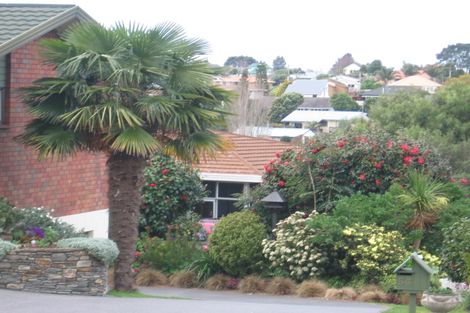 Photo of property in 57 Whitaker Street, Otumoetai, Tauranga, 3110