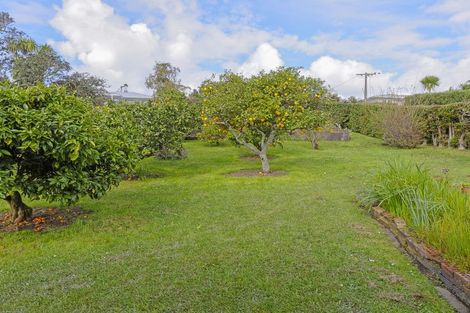 Photo of property in 19 Blease Street, New Lynn, Auckland, 0600