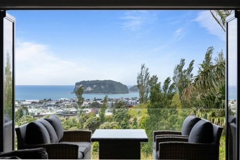 Photo of property in 114 Te Pamahue Drive, Whangamata, 3620