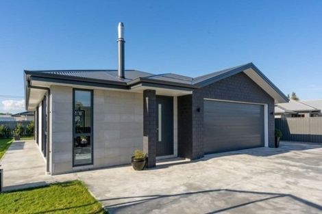 Photo of property in 55b Dublin Street, Martinborough, 5711