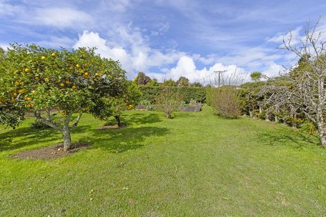 Photo of property in 19 Blease Street, New Lynn, Auckland, 0600