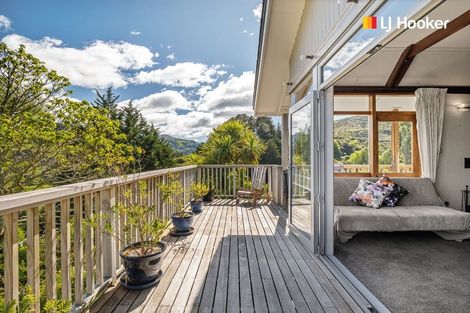 Photo of property in 193 Evans Street, Opoho, Dunedin, 9010