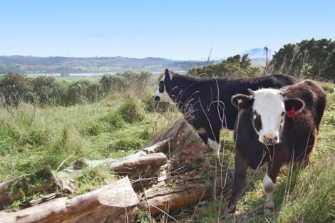 Photo of property in 542e Oneriri Road, Kaiwaka, 0573