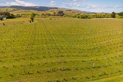 Photo of property in 35 Brighton Street, Island Bay, Wellington, 6023