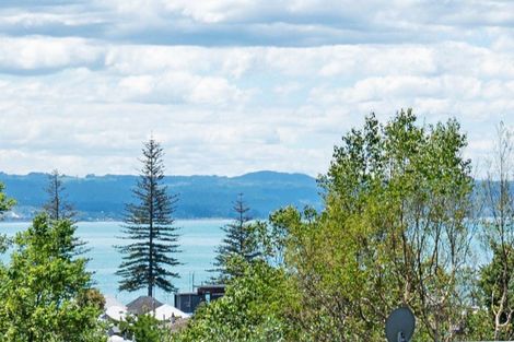 Photo of property in 151 Milton Road, Bluff Hill, Napier, 4110