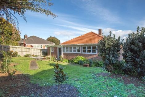 Photo of property in 456 Mount Albert Road, Mount Roskill, Auckland, 1041