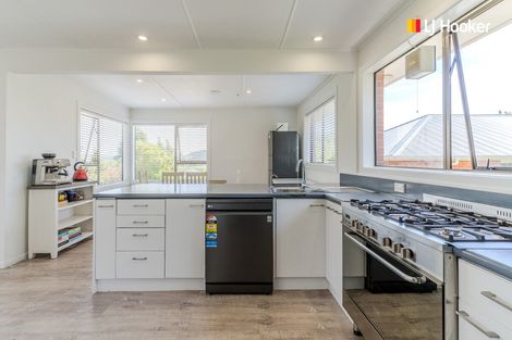 Photo of property in 19 Koremata Street, Green Island, Dunedin, 9018