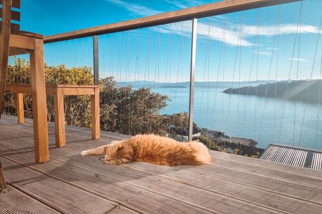 Photo of property in 63 Grafton Road, Roseneath, Wellington, 6011