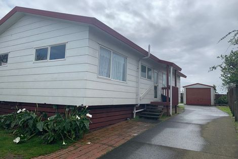 Photo of property in 29 Barneys Farm Road, Clendon Park, Auckland, 2103