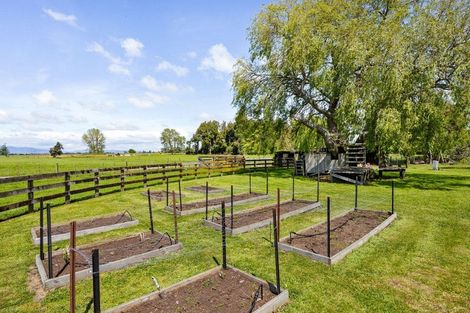 Photo of property in 815 Parallel Road, Ohaupo, 3881