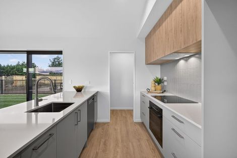 Photo of property in 248 Lincoln Rolleston Road, Rolleston, 7678