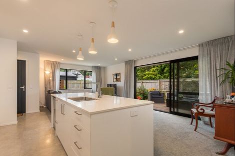 Photo of property in 28a Alfred Street, Roslyn, Palmerston North, 4414