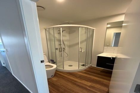 Photo of property in 54b Mako Mako Road, Levin, 5510