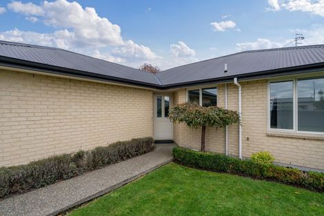 Photo of property in 59 Nelson Street, Georgetown, Invercargill, 9812