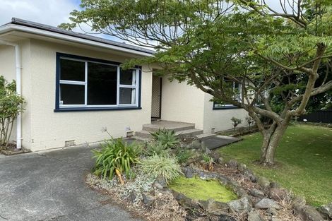 Photo of property in 70 Wood Street, Takaro, Palmerston North, 4410