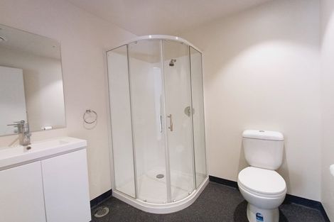 Photo of property in Te Kainga Te Aka, 203 Willis Street, Te Aro, Wellington, 6011