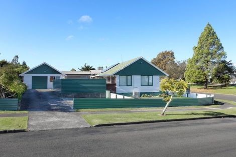 Photo of property in 138 Lethbridge Street, Feilding, 4702